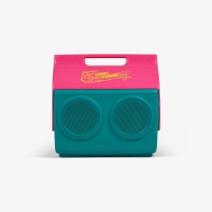 Igloo KoolTunes?