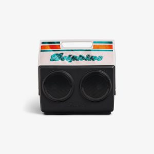 Igloo Miami Dolphins KoolTunes?